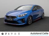 Kia ProCeed GT 1.6 T-GDI DCT Kamera DAB JBL Sport - Kia aus 2021