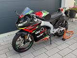 Aprilia RS 125 GP Replica Quicksh. LED Digital wenig km - Offers