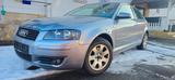 Audi A3 1.6 Attraction,TÜV und Service Neue. - Audi A3: 1.6