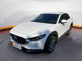 Mazda CX-30 2.0L 150 Automatik EXCLUSIVE LINE - Mazda CX-30 Gebrauchtwagen in Dresden