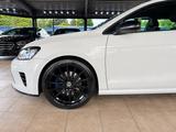 Volkswagen Polo 2.0 TSI R WRC*1361/2500* - Volkswagen Polo: R
