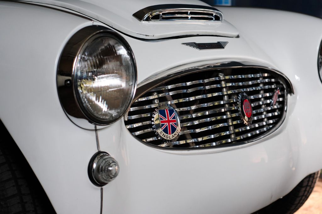 Austin Healey Andere
