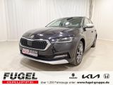 Skoda Octavia 2.0 TDI DSG Scout 4x4 Matrix|virt.Cock.| - Skoda Octavia: Scout Dsg