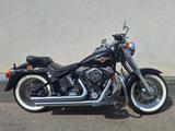 Harley-Davidson Softail EVO - HARLEY-DAVIDSON 1995 SOFTAIL