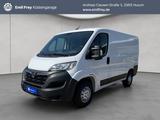 Opel Movano Blue HDI/Kasten L1H1 Klima - gebrauchte Opel Movano aus dem Jahr 2023