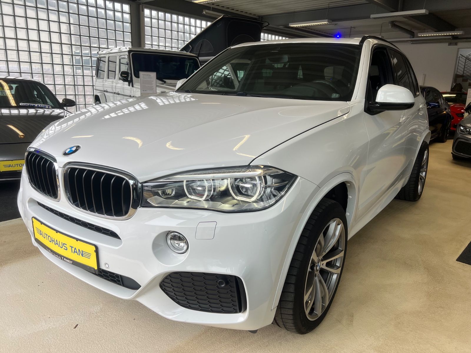 Fahrzeugabbildung BMW X5 xDrive 30 d M Sport Paket