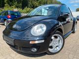 Volkswagen New Beetle Cabriolet 1.4 United SHZ PDC - Volkswagen New Beetle mit Benzin-Antrieb: Cabrio, 1.4