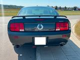 Ford Mustang GT 4,6 L V8 305 PS - Ford Mustang: V6
