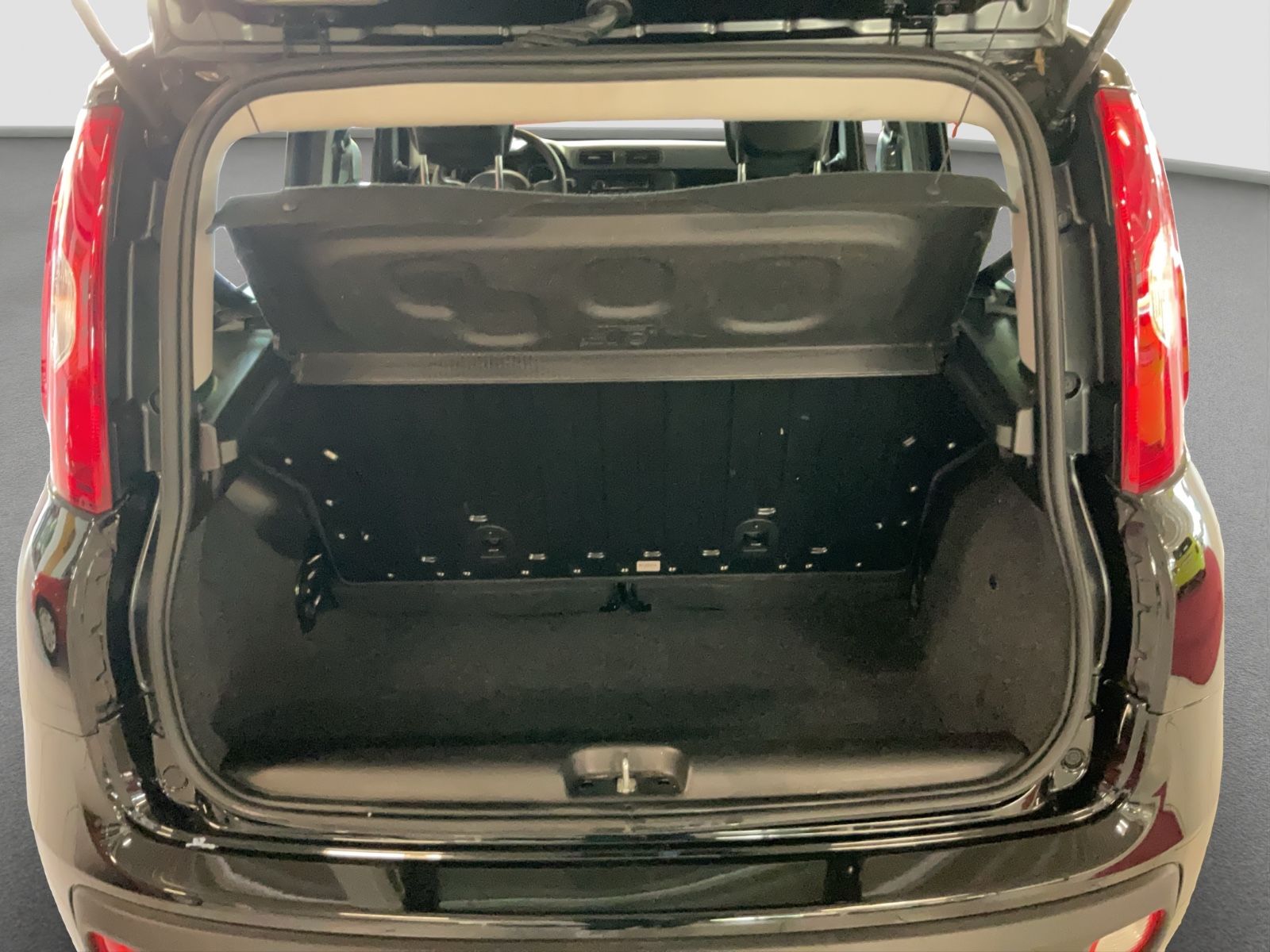 Fahrzeugabbildung Fiat Panda 1.0 Hybrid