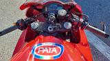 Honda CBR 600 RR - HONDA RENNSPORT