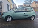 Fiat Punto 1.2 8V - - gebrauchte Fiat Punto aus dem Jahr 2002