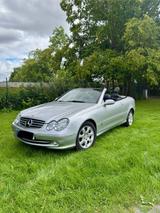 Mercedes-Benz Mercedes Benz Clk 240 Cabrio V6 Top Zustand - : Mercedes Clk