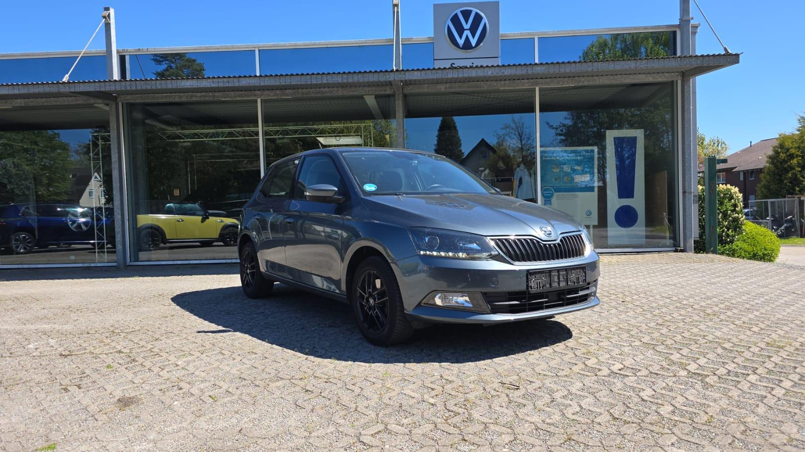 Skoda Fabia Style AHK Car Play Bluetooth PDC GRA