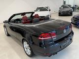 Volkswagen Eos 2.0 TDI Cabrio  DSG PANORAMA LEDER R-KAMERA - mit Diesel-Antrieb: Cabrio