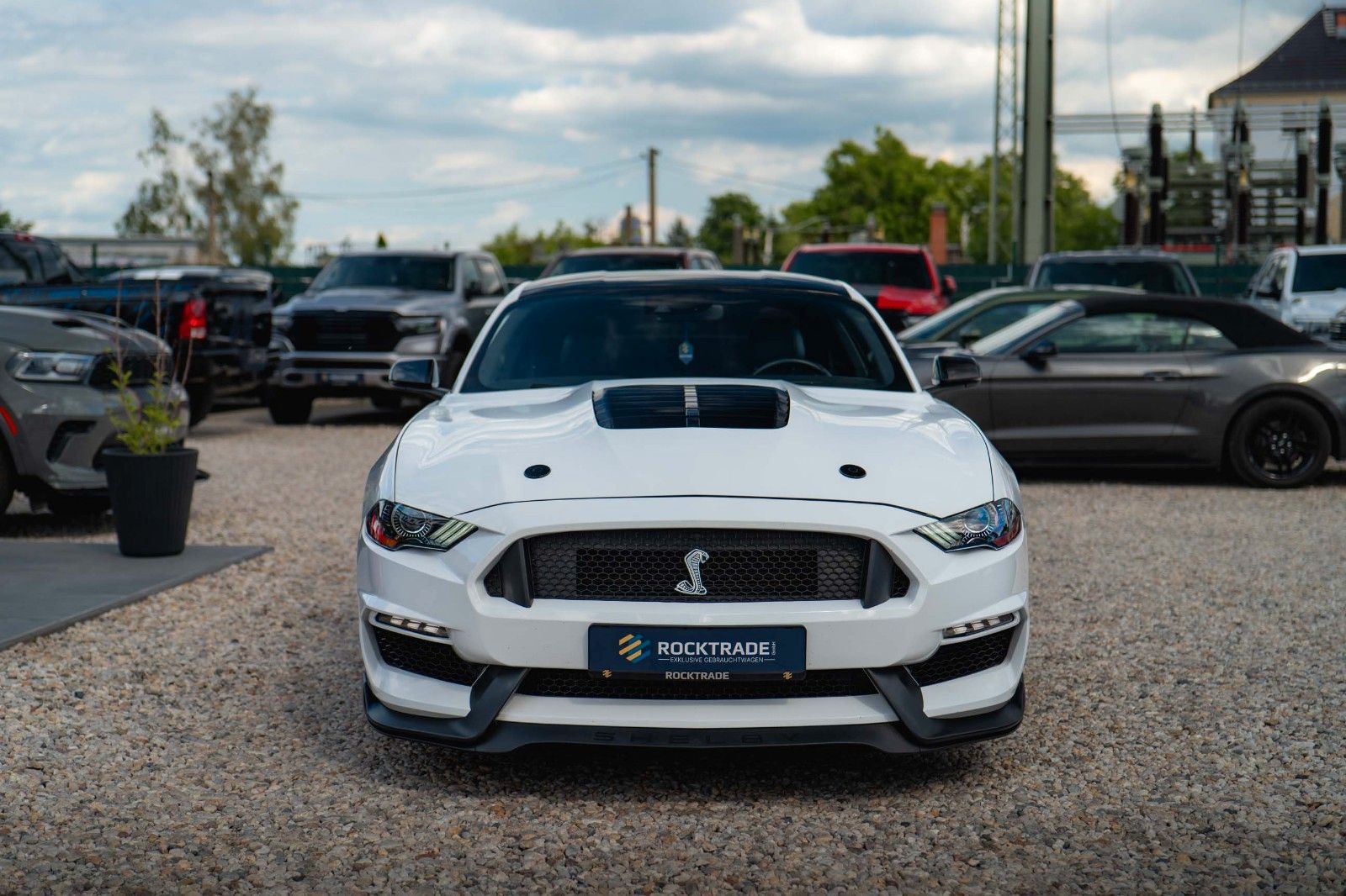 Fahrzeugabbildung Ford Mustang Shelby GT 500 5.0 V8 Performance PREMIUM