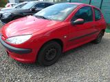 Peugeot 206 Petit Filou - Peugeot 206: Rot