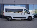 Fiat Ducato Modular L2H2 180 Automatik / 9-Sitzer - Fiat Ducato: Sitzer 9