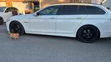 BMW 525D 300PS Sitzheizung TÜV Memory Prof... - BMW 525 in Leverkusen
