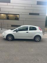 Fiat Punto Pop - : bis 2500 €, TÜV