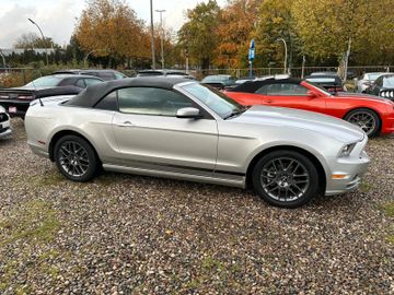 Ford MustangV6 Cabrio  Aut Club of America Edition  Top Zust