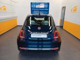 Fiat 500 1.0 Star 16" Glasdach PDC - Fiat 500: Glasdach