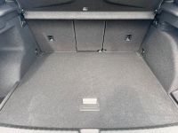 Cupra Terramar 1.5 eTSI DSG HEADUP PANO AHK 360° 5JGAR bei Autohaus Landmann & Maier OHG