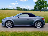 Audi TT Roadster 2.0 TDI ultra - TOP ZUSTAND - Audi TT mit Diesel-Antrieb: Cabrio