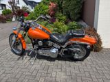 Harley-Davidson FXSTC, Neuer Originallack, viel Zubehör, 1. Hand - HARLEY-DAVIDSON FXSTC