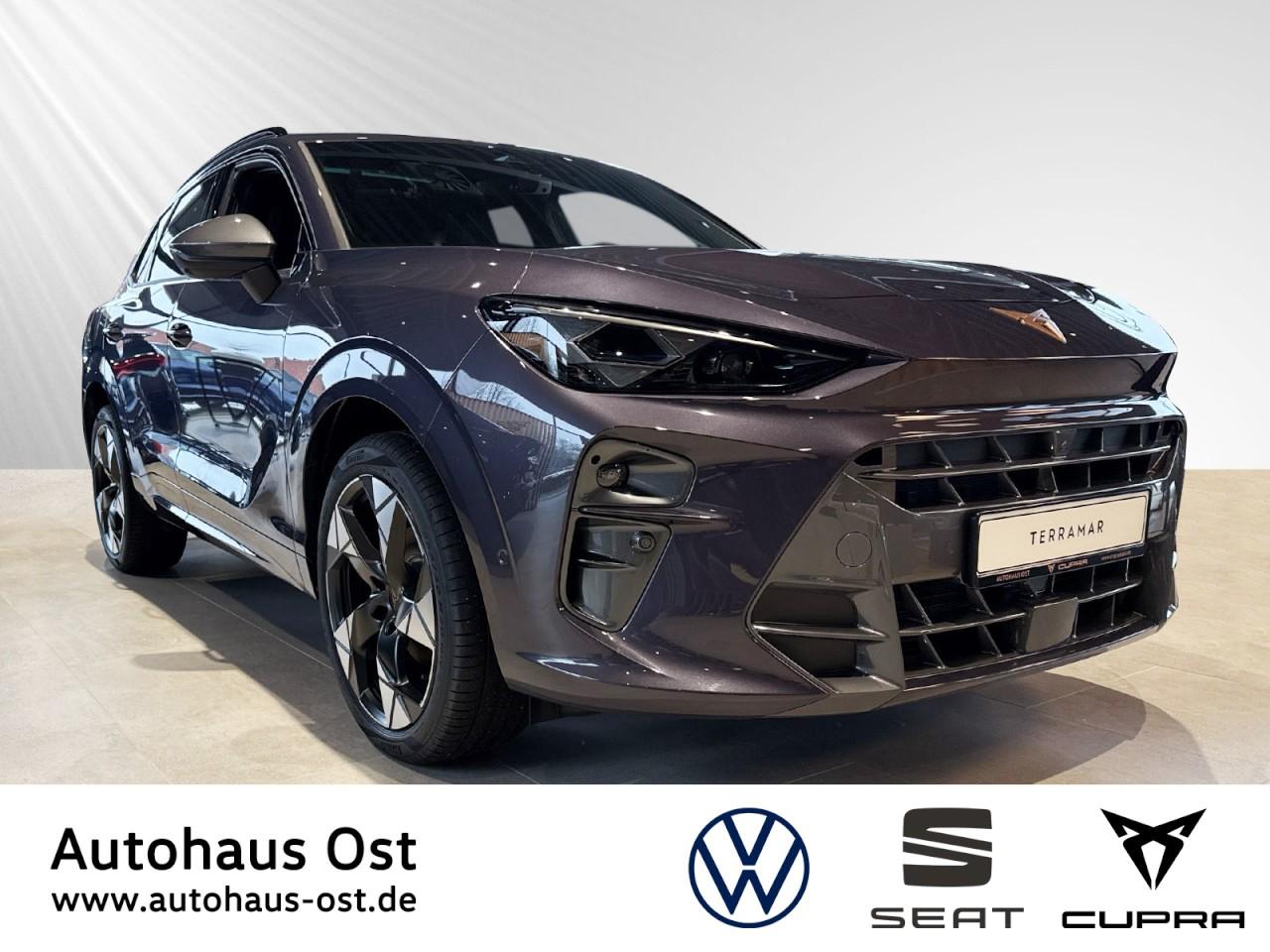 Cupra Terramar 1.5 TSI DSG HD Matrix Navi AHK Panorama