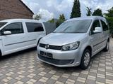 Volkswagen Caddy Kombi Roncalli Trendline - Volkswagen Caddy: Roncalli Trendline
