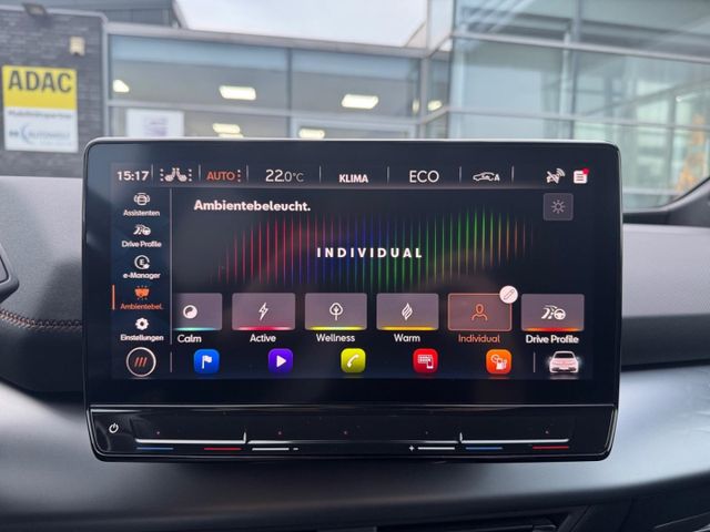 Born 58 kWh LED Sitzh. FullLink PDC Ambiente GJR