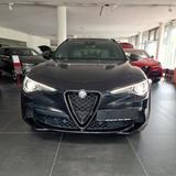 Alfa Romeo Stelvio Quadrifoglio Q4*Panorama* - Alfa Romeo Stelvio Gebrauchtwagen in München