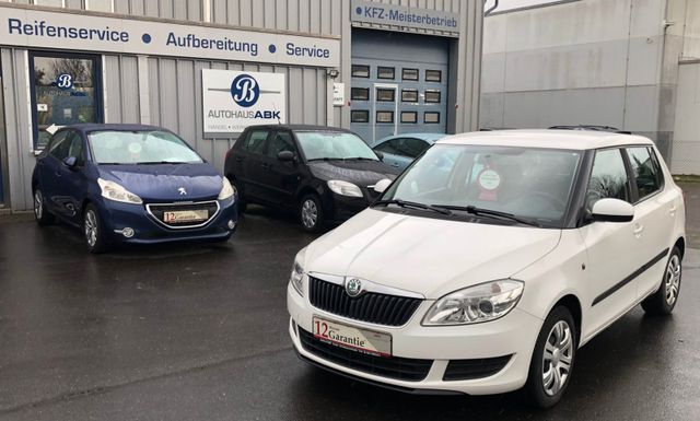 Skoda Fabia Ambition - 1 Halter