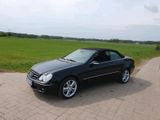 Mercedes-Benz Mercedes Cabrio CLK 200 - aus 2006: Cabrio, Mercedes Clk