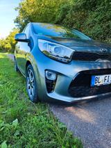 Kia Picanto 1.2 AMT Spirit Komf Connect  - graue Kia Picanto
