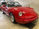 Alfa Romeo Spider - Alfa Romeo Oldtimer