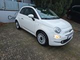 Fiat 500 *Panorama*Tempomat*erst 18000km* - Fiat 500: 500er