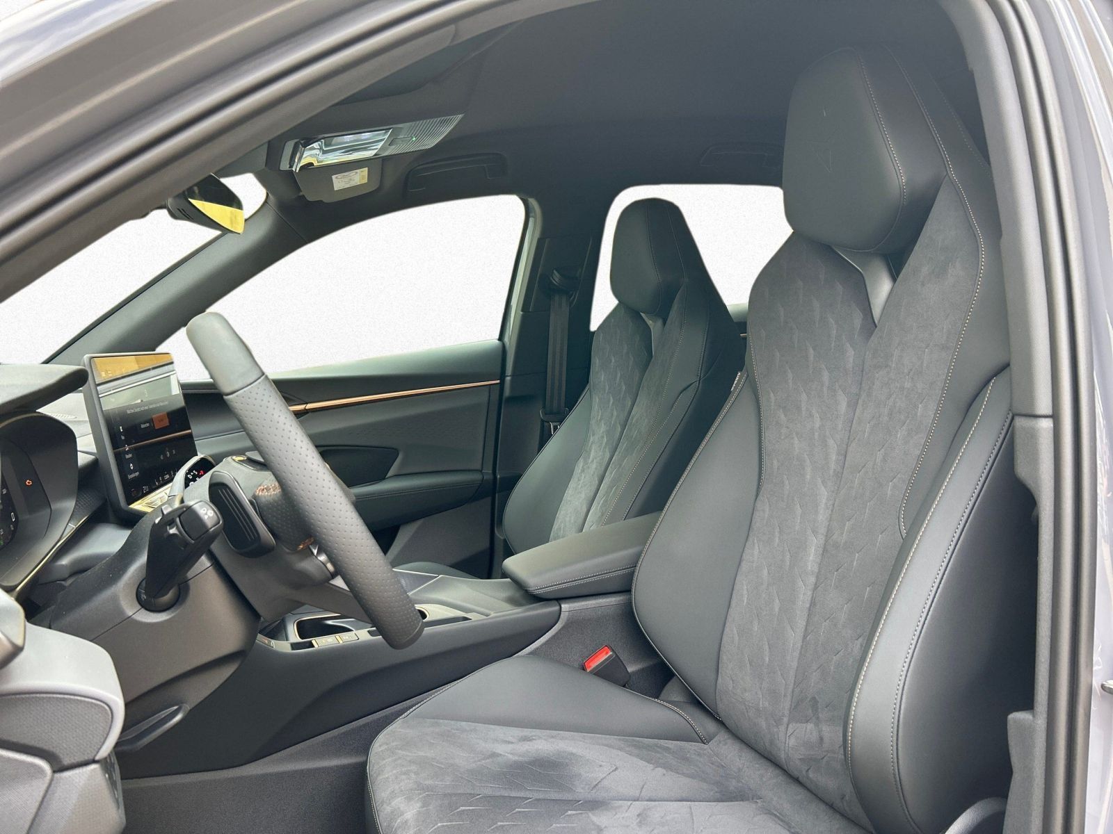 Cupra Terramar - Bild 8