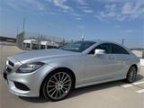 Mercedes-Benz CLS250 CDI AMG - Mercedes-Benz CLS 250: Cdi