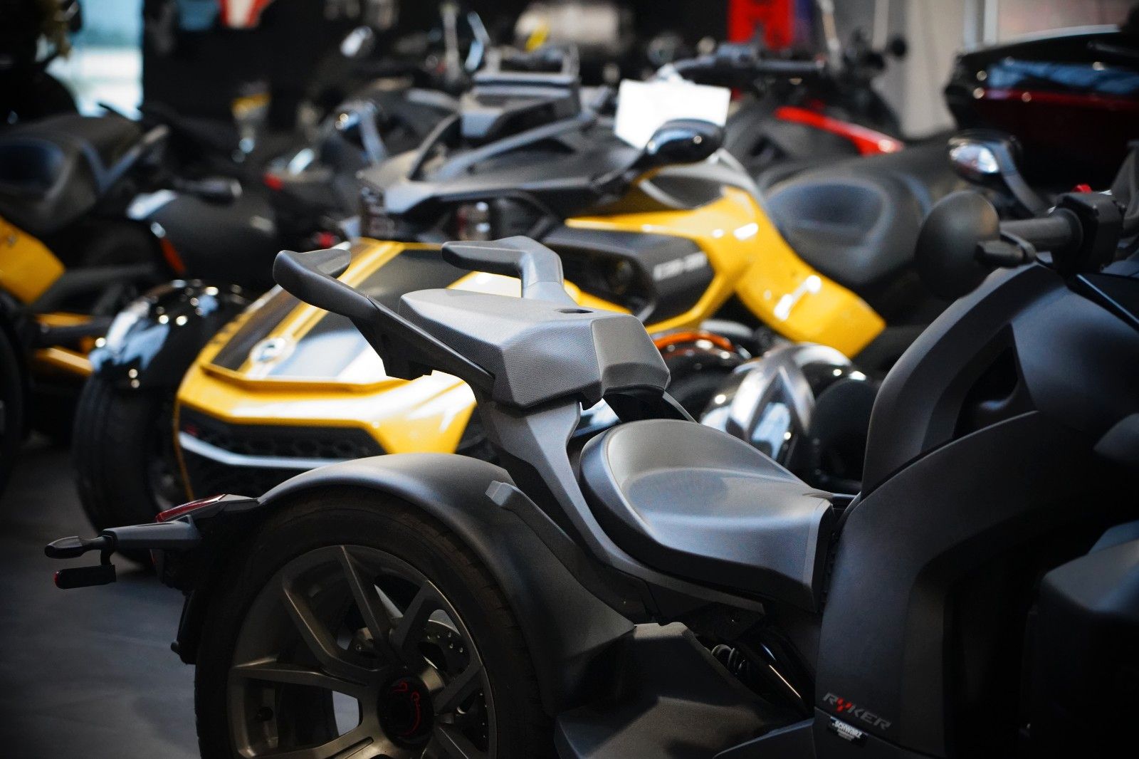 Fahrzeugabbildung Can Am Ryker 600