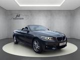 BMW 228i  Cabrio M Sport Leder Bi Xenon Kamera - BMW 228 aus 2016