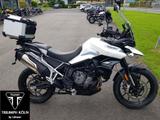 Triumph Tiger 900 GT Pro mit Topcase - TRIUMPH TIGER 900 GT PRO