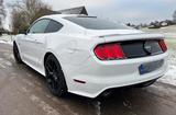 Ford Mustang 5.0 V8 GT 50 Years Edition - Ford Mustang: 50
