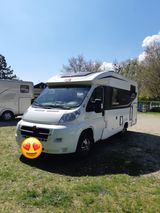 Fiat Bürsten Travel Van T620 G ICLine  - Fiat Separate Dusche