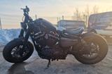 Harley-Davidson sportster xl1200 - Angebote