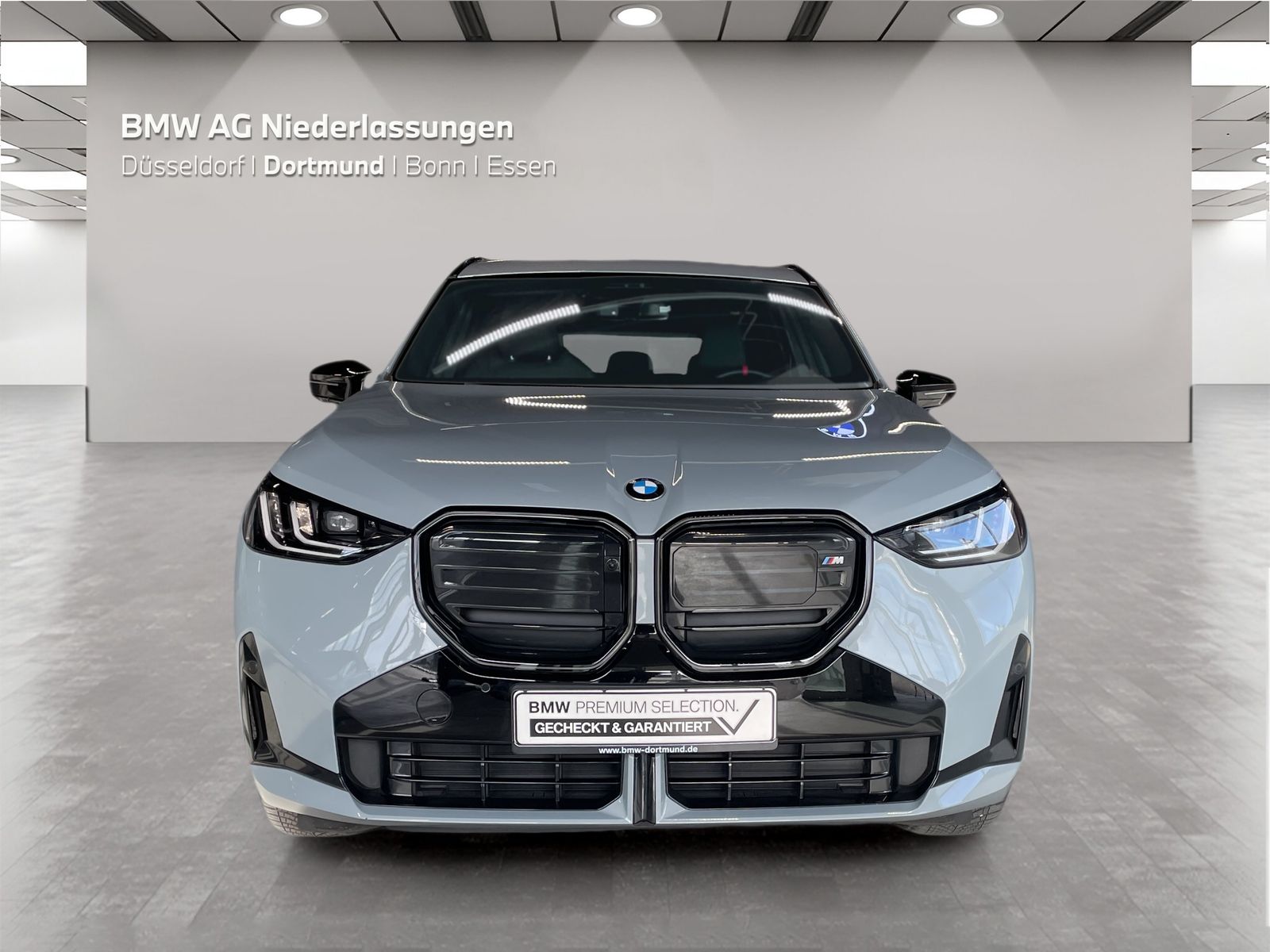 BMW X3 M50 - Bild 8