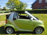 Smart ForTwo cabrio 1.0 52kW mhd passion - Smart ForTwo: Grün