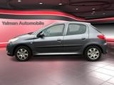 Peugeot 206 + Basis - Peugeot 206: 5 Türen