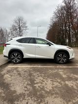 Lexus NX 300h - Lexus NX 300: H