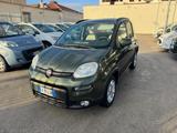 Fiat Panda 0.9 t.air Trekking 80cv - mit CNG-Antrieb: Cabrio